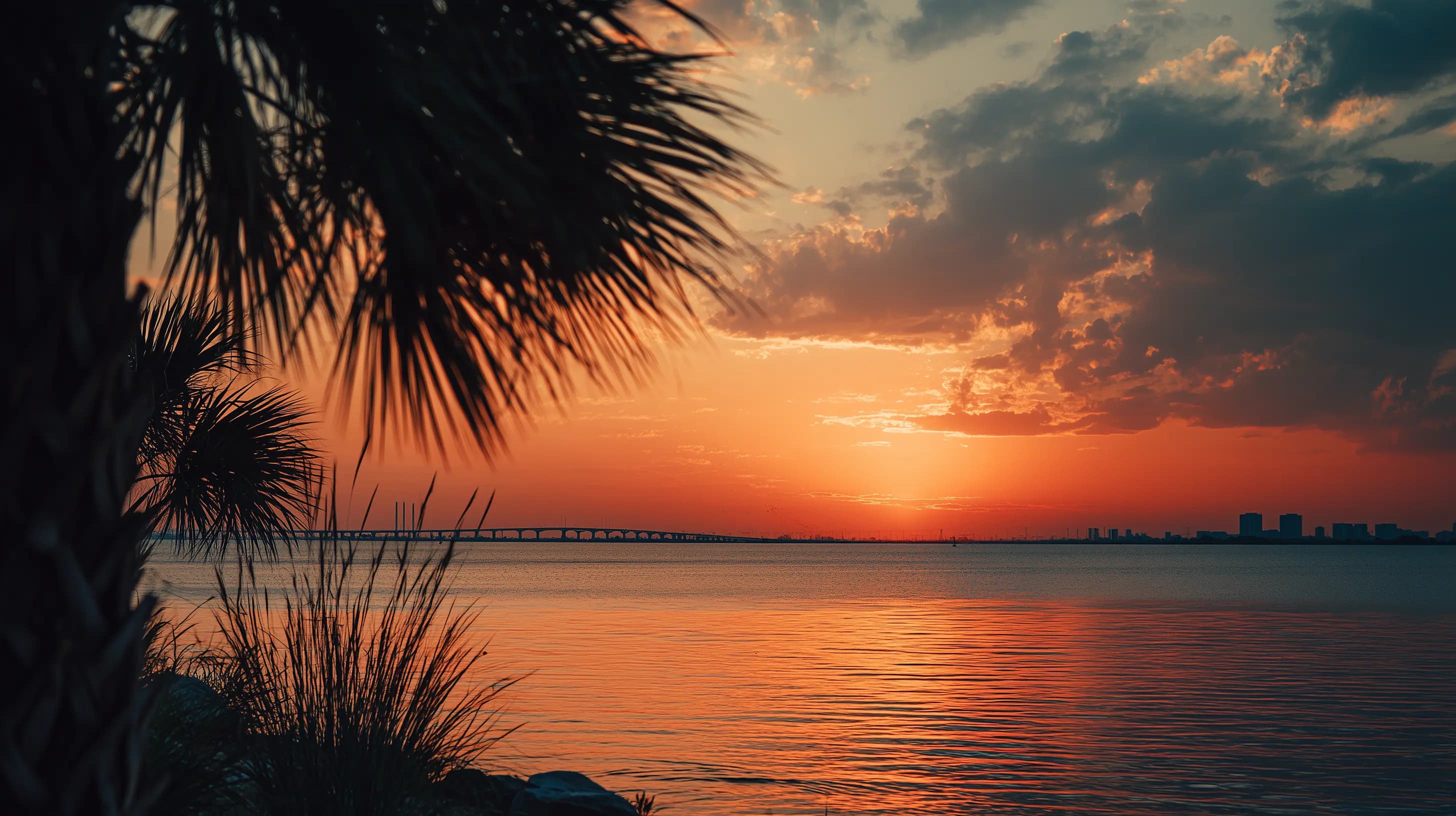 Tampa Bay skyline at sunset